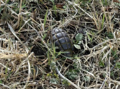 Гранату возле Олимпийского комплекса нашли в Кисловодске