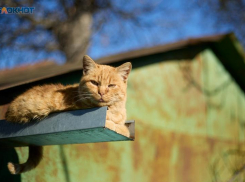 Ставропольцы наконец получат солнечную и теплую погоду
