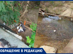 После покраски дорожных блоков в Ставрополе неизвестные выкинули банки с краской в реку