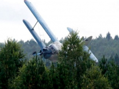 Самолет упал на электропровода и обесточил целое село на Ставрополье