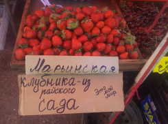 В Пятигорске продают клубнику из райского сада