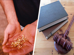 Насильно в банкроты. Крупнейшее сельхозпредприятие с западными корнями терпит бедствие на Ставрополье