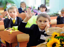 Новый предмет введут в школах Ставрополья