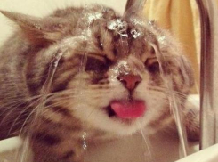 На Ставрополье установилась жара до 37 градусов