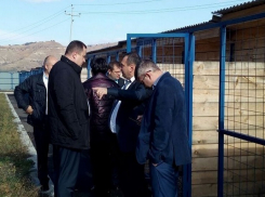 Самый большой в Ставропольском крае приют для животных вместит 100 собак и 10 кошек