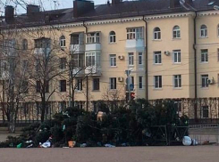 Сильный ветер опрокинул новогоднюю ёлку в Ставрополе