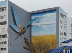 Новый стрит-арт украсил многоэтажку Железноводска 