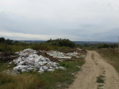 Жителей Кисловодска возмутила свалка строительного мусора на Новом озере