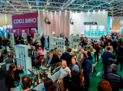 Власти Ставрополья готовы потратить более 13 миллионов на поездку и выставку товара на «Продэкспо-2022»