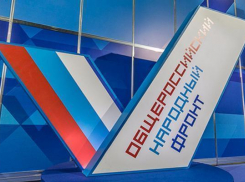 ОНФ предотвратил 600 сомнительных закупок