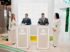 Новая платформа упростит доступ к активам на Северном Кавказе