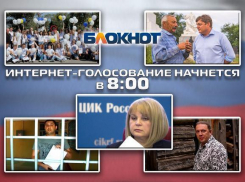 Песца, покемонов и незаконное задержание кандидата пустили в ход партии за неделю до выборов