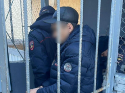 Организатора схемы по хищению 150 миллионов из колхоза осудили на 8,5 лет в Ставропольском крае 