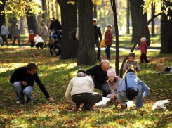 Тепло и безветрие ждут ставропольцев в воскресенье