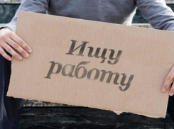 Уровень безработицы вырос в Ставрополе