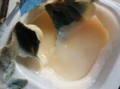 Толстый слой плесени на поверхности йогурта из «Пятерочки» обнаружила жительница Пятигорска