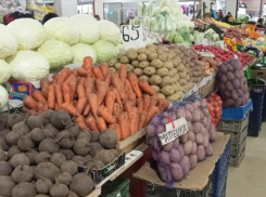 Огурцы вспомнили о совести, лук превратился в золото: обзор цен на продукты в Ставропольском крае на начало мая 