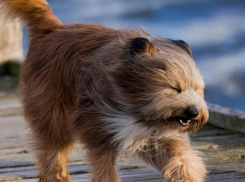 Солнечно, но ветрено: публикуем прогноз погоды на четверг