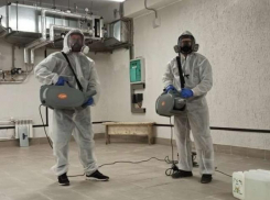 Профессиональные услуги по дезинфекции