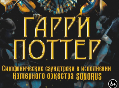 Камерный оркестр Sonorus исполнит саундтреки из фильмов о Гарри Поттере в Ставрополе 