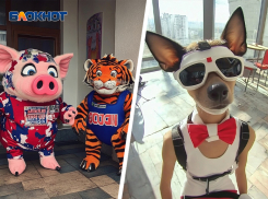 Выборы в стиле киберпанка: искусственный интеллект показал ставропольские избирательные участки