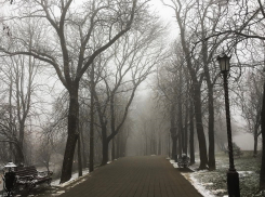 С сильного ветра и небольшого «плюса» начнется рабочая неделя в Ставрополе 