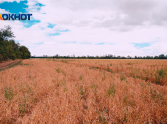 Мужчина пытался сжечь поля лупой на арматуре в Ставропольском крае