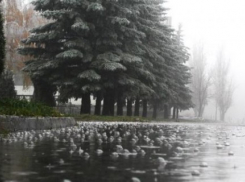 В мае на Ставрополье ожидается крупный град, ливни и даже заморозки