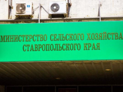 Двух новых замов представил министр сельского хозяйства Ставрополья 