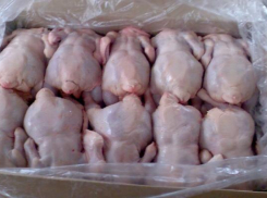 Свыше сорока килограммов куриного мяса не допущены к продаже на Ставрополье