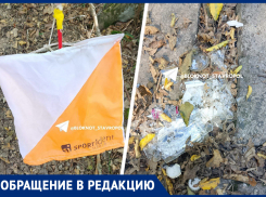 Захламили мусором и уничтожили деревья: ставрополец винит спортивную организацию в загрязнении Таманского леса