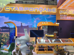 Ставропольцы могут проголосовать за стенд на выставке «Россия» на ВДНХ