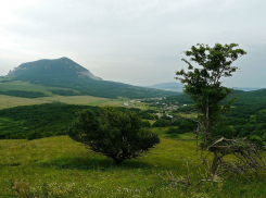 Четкие границы «Бештаугорского» заказника определили для обеспечения режима особой охраны