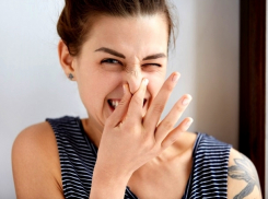 Большинство ставропольцев не нюхают своих новых знакомых