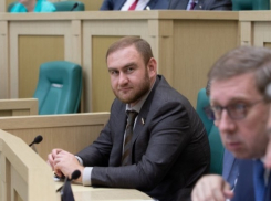 Рауфа Арашукова лишили статуса сенатора за непредставление декларации о доходах