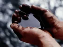 Похитителя нефти федерального масштаба задержали на Ставрополье