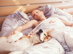 Валяться в кровати или заняться делами – как ставропольчане предпочитают проводить выходные