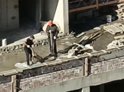 Заставили выброситься с шестого этажа: погибшая собака снова рассорила ставропольцев