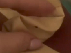 Жители Минвод пожаловались на клопов в палате городской больницы