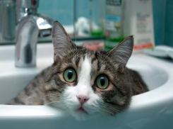 Отключение воды в поселке Энергетик запланировано 23 марта на Ставрополье