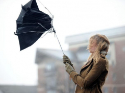 Ветрено и дождливо: какая погода ждет Ставрополь на выходных