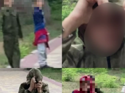 Больного голубя кинули в лица маленьким девочкам на Ставрополье