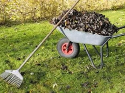 Межрайонная прокуратура опротестовала решение Думы Георгиевска