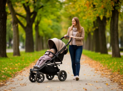 «864 рубля недостаточно»: многодетные семьи Ставрополья обратились к губернатору за денежной добавкой