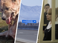 Дорожающая коммуналка, исчезающий курорт и подпольные бои: что будоражило Ставрополье на этой неделе