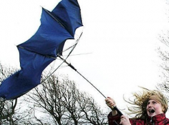 Штормовое предупреждение объявило МЧС на Ставрополье