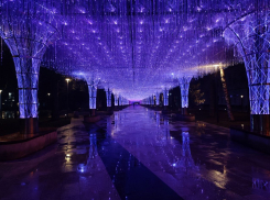 Будущее туманно: чего ждать от погоды в начале рабочей недели на Ставрополье