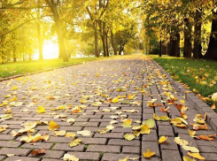 Погода бьёт рекорд второй день подряд  на Ставрополье