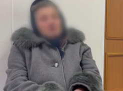 Вынесен приговор хозяйке загрызших насмерть девочку псов в Ставрополе
