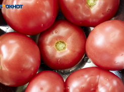 «Ценопад» на помидоры и огурцы зафиксировали в прошедшую неделю на Ставрополье